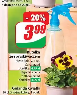 Dino Butelka ze spryskiwaczem oferta