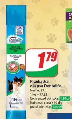 Dino Przekąska dla psa Purina Dentalife oferta