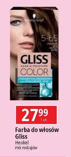 E.Leclerc Krem koloryzujący do włosów 5-65 orzechowy brąz Gliss Kur Care & Moisture Color oferta