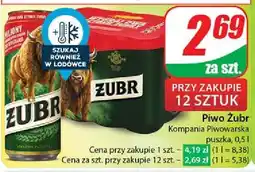 Dino Piwo Żubr 1768 oferta