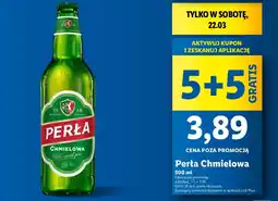 Lidl Piwo Perła Chmielowa oferta