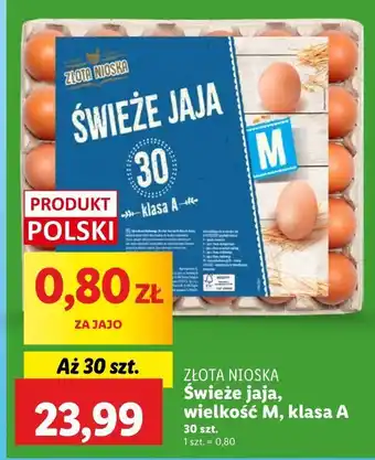 Lidl Jaja swieze kl. m Złota Nioska oferta