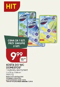 Chata Polska Kosta do wc domestos unilever oferta