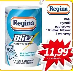 Hale Banacha Regina Blitz Ręcznik papierowy uniwersalny oferta