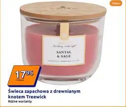 Action Świeca zapachowa z drewnianym knotem Treewick oferta