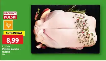 Lidl Kaczka Rzeźnik oferta