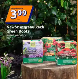 Action Nawóz Green Boots oferta