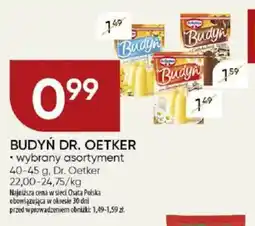 Chata Polska Budyń dr. oetker oferta