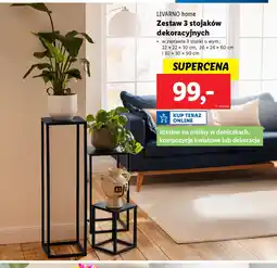 Lidl Zestaw 3 stojaków dekoracyjnych Livarno Home oferta