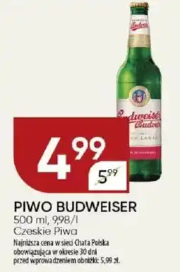 Chata Polska Piwo budweiser czeskie piwa oferta