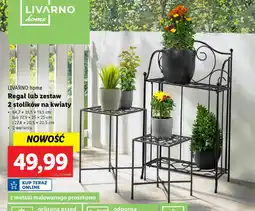 Lidl Regał lub zestaw 2 stolików na kwiaty oferta