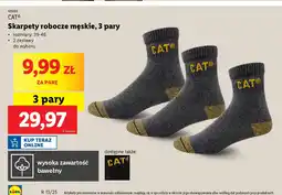 Lidl Skarpety robocze męskie CAT oferta