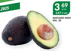 Eurocash Cash & Carry Avocado hass kal. 20 oferta