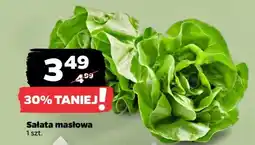 Netto Sałata masłowa oferta