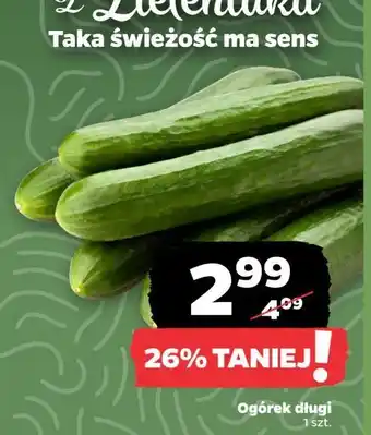 Netto Ogórek długi oferta