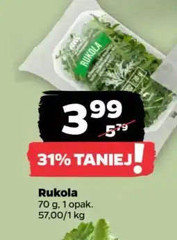 Netto Rukola Z Zieleniaka Netto oferta