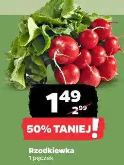 Netto Rzodkiewka oferta