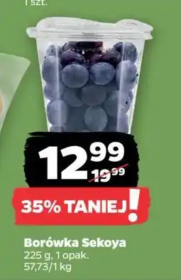 Netto Borówka sekoya oferta