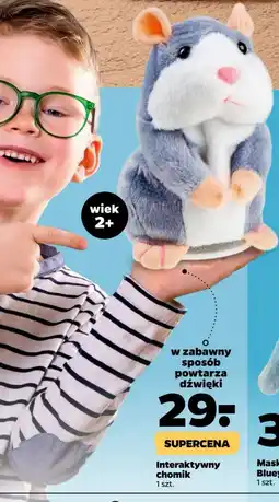 Netto Chomik interaktywny oferta