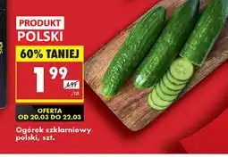 Biedronka Ogórek szklarniowy oferta