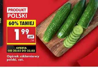 Biedronka Ogórek szklarniowy oferta