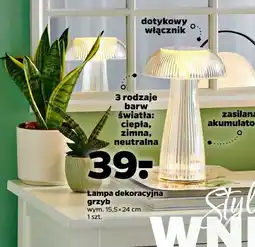 Netto Lampa dekoracyjna oferta