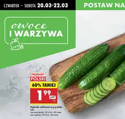 Biedronka Ogórek szklarniowy oferta