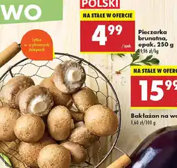 Biedronka Pieczarki brunatne polska oferta