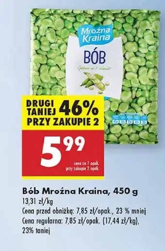 Biedronka Bób mrożony Mroźna Kraina oferta