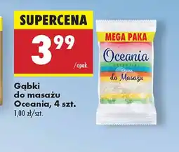 Biedronka Gąbki do masażu Oceania oferta