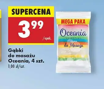 Biedronka Gąbki do masażu Oceania oferta