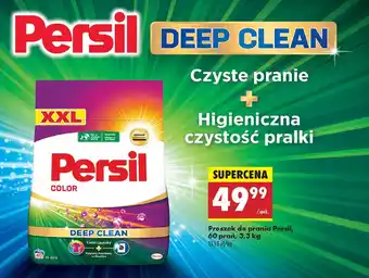 Biedronka Proszek do prania kolorów Persil Color oferta