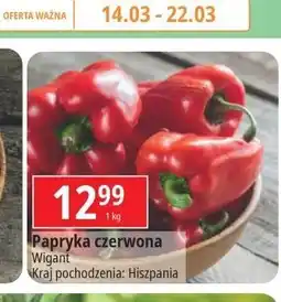 E.Leclerc Papryka czerwona Wigant oferta