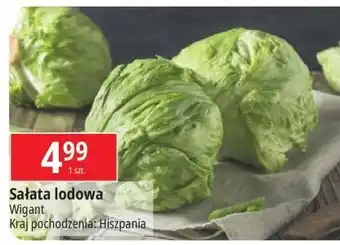 E.Leclerc Sałata lodowa Wigant oferta