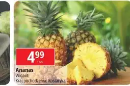 E.Leclerc Ananas kostaryka oferta