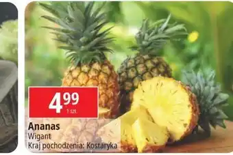 E.Leclerc Ananas kostaryka oferta