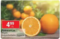 E.Leclerc Pomarańcze hiszpania oferta