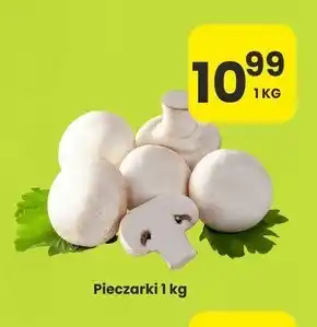 Sedal Pieczarki oferta