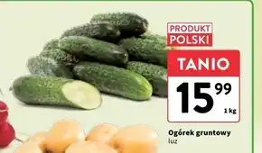 Intermarche Ogórek Polski oferta