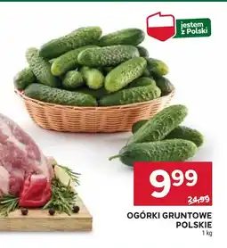 Stokrotka Market Ogórki Polski oferta