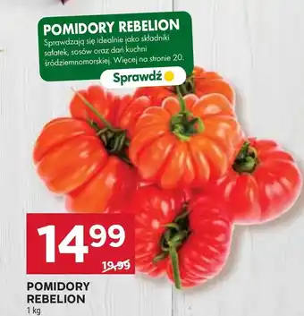 Stokrotka Pomidory oferta