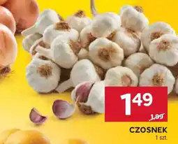 Stokrotka Czosnek oferta