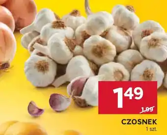 Stokrotka Czosnek oferta