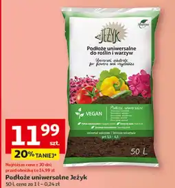 Auchan Podłoże kwiatowe oferta