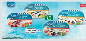 Eurocash Cash & Carry Konserwa rybna orka oferta