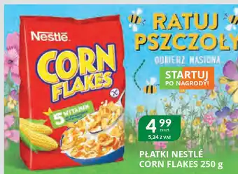 Eurocash Cash & Carry Płatki nestlé corn flakes oferta