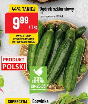 Polomarket Ogórek szklarniowy oferta