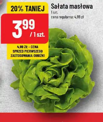 Polomarket Sałata masłowa oferta