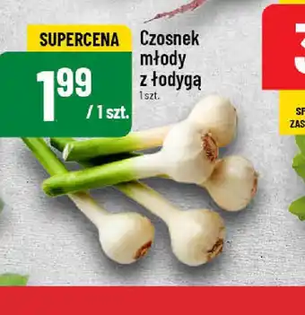 Polomarket Czosnek młody z łodygą oferta