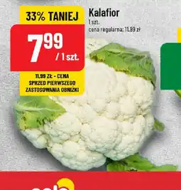Kalafior